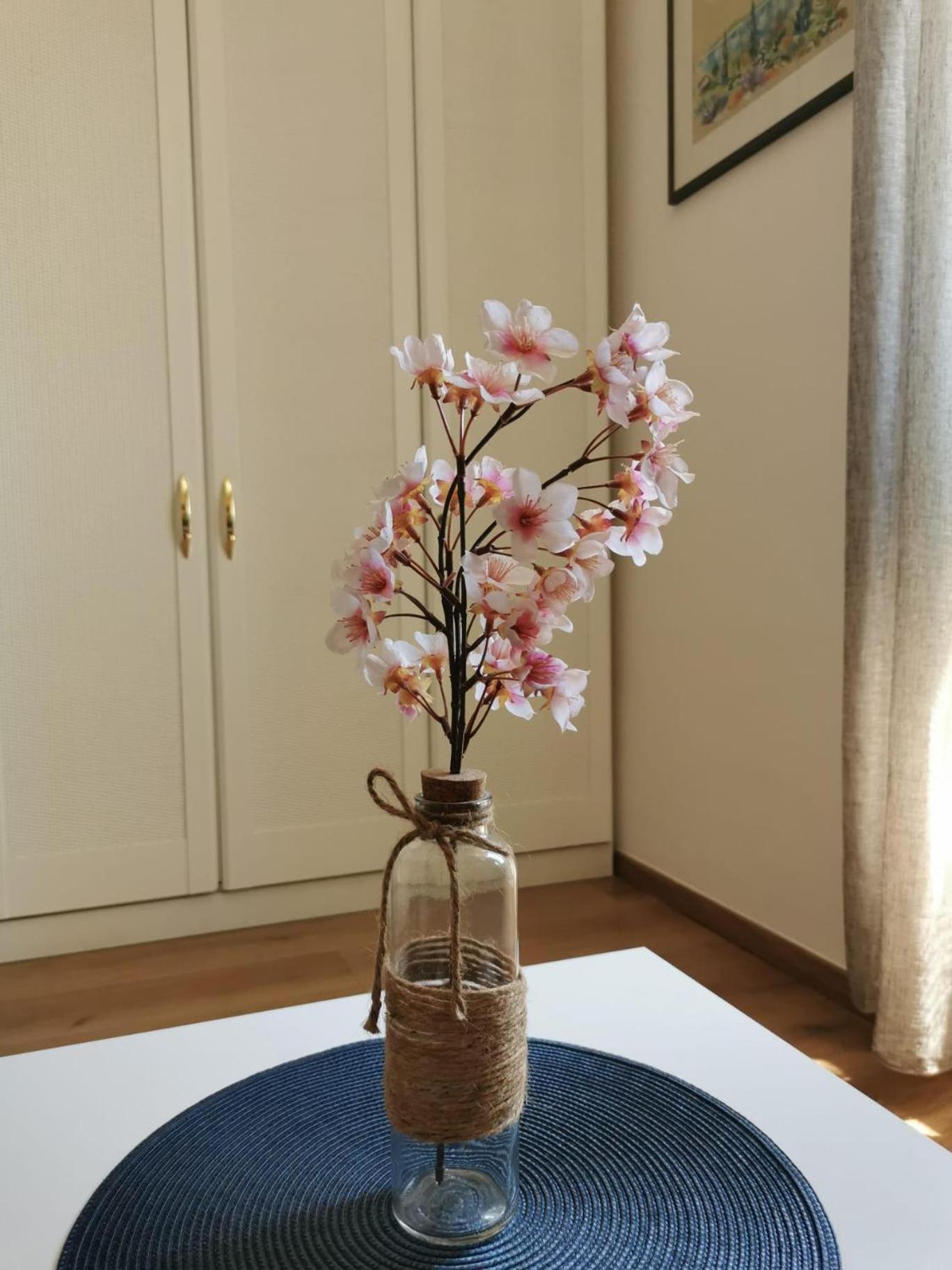 Oasis Apartment زادار المظهر الخارجي الصورة